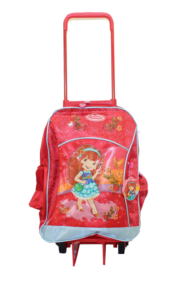 19 Removable Trolley Backpack